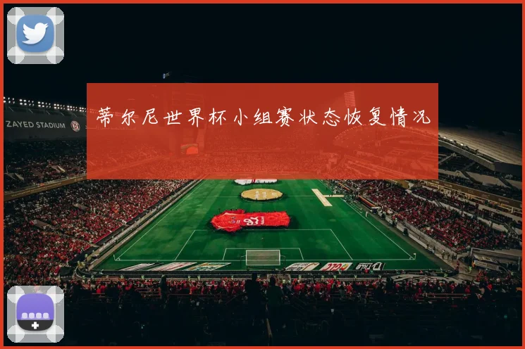 蒂尔尼世界杯小组赛状态恢复情况