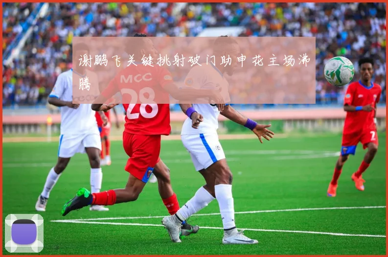 谢鹏飞关键挑射破门助申花主场沸腾