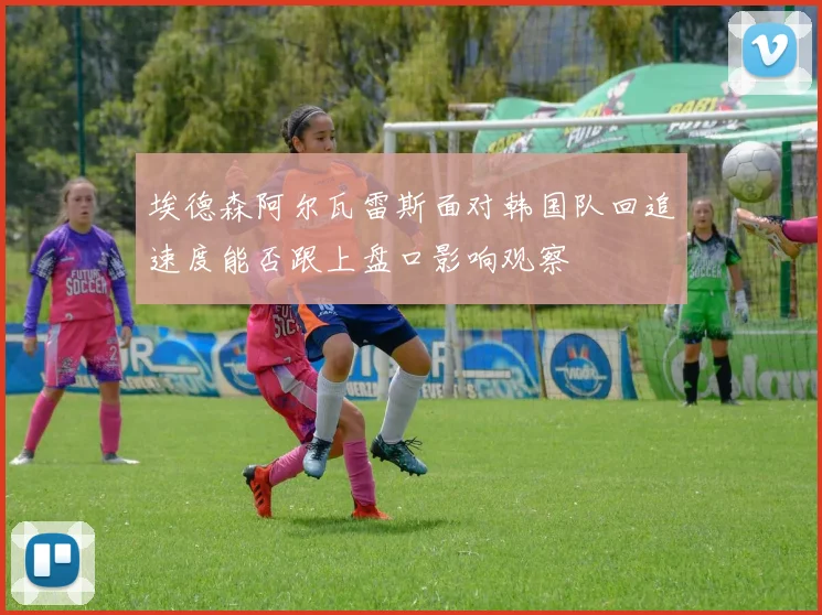 埃德森阿尔瓦雷斯面对韩国队回追速度能否跟上盘口影响观察