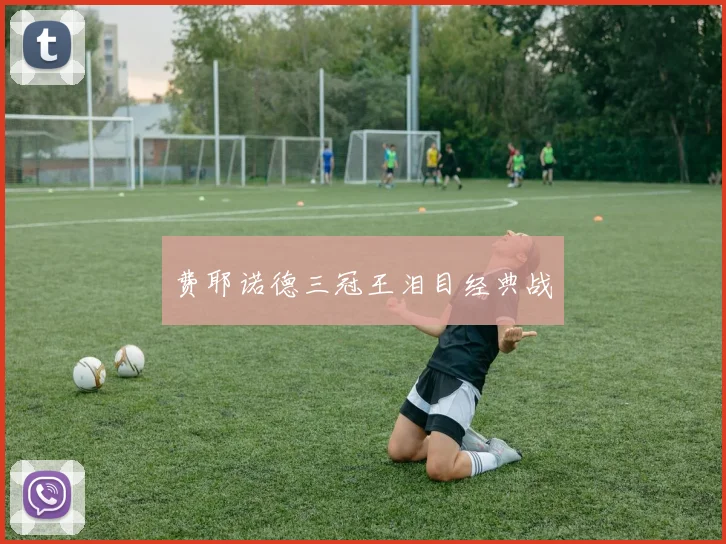 费耶诺德三冠王泪目经典战