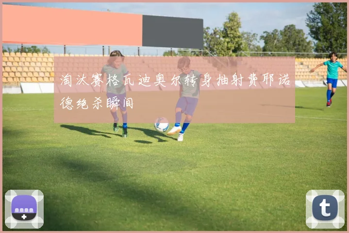 淘汰赛格瓦迪奥尔转身抽射费耶诺德绝杀瞬间
