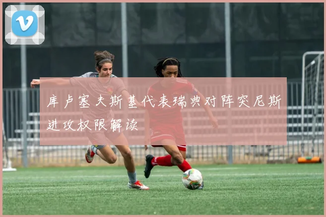 库卢塞夫斯基代表瑞典对阵突尼斯进攻权限解读