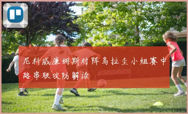 尼科威廉姆斯对阵乌拉圭小组赛中路串联攻防解读