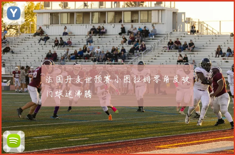 法国丹麦世预赛小图拉姆零角度破门球迷沸腾