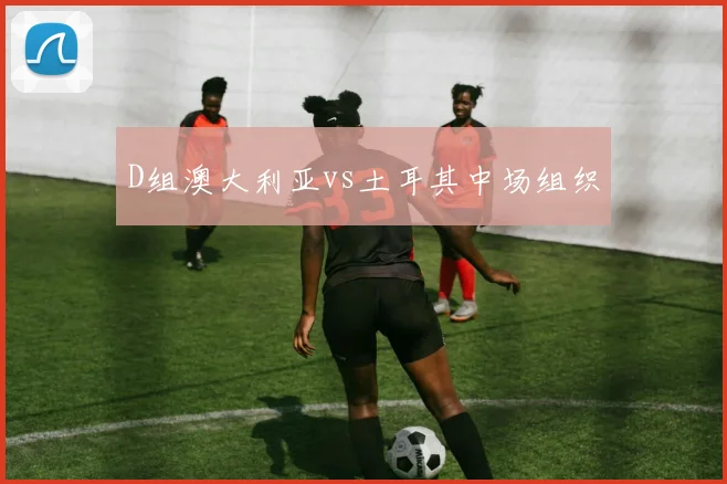 D组澳大利亚vs土耳其中场组织