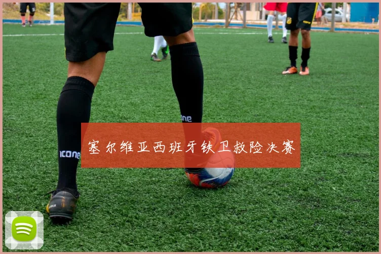 塞尔维亚西班牙铁卫救险决赛