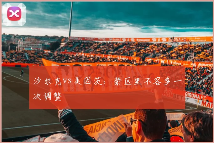 沙尔克vs美因茨，禁区里不容多一次调整