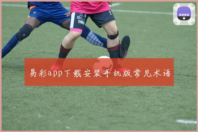 易彩app下载安装手机版常见术语